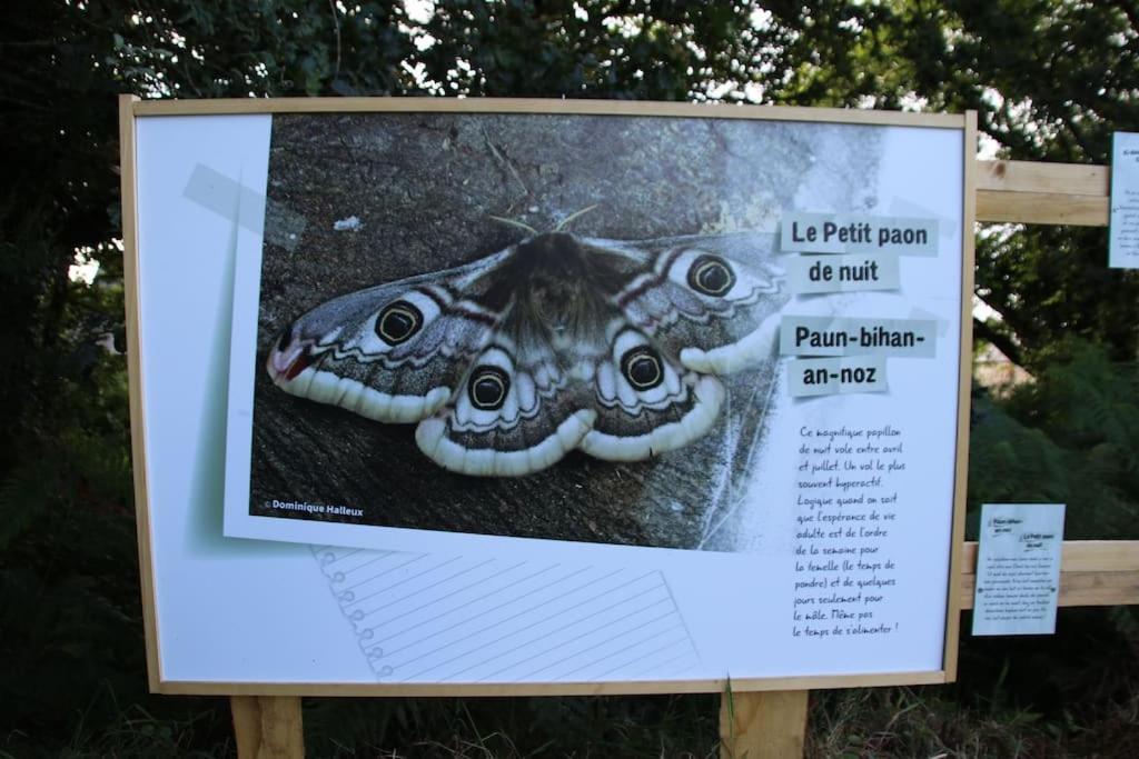 PlounerinLa Petite Bretonne别墅 外观 照片