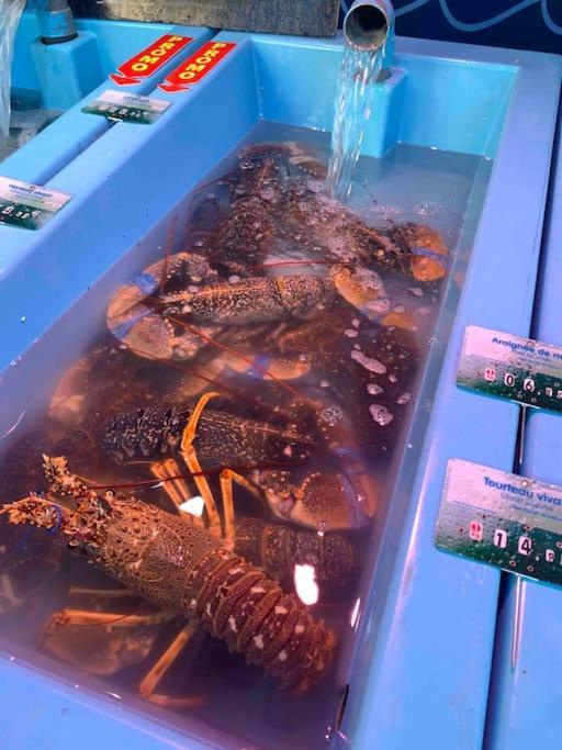 PlounerinLa Petite Bretonne别墅 外观 照片